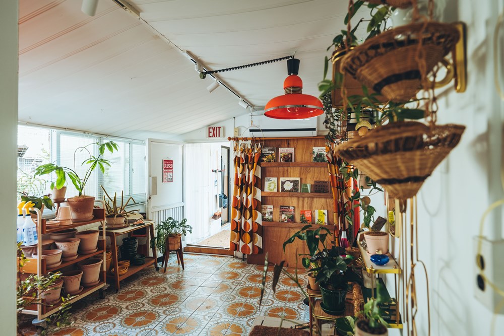 親生物設計指南：將森林氣息帶入現代居家